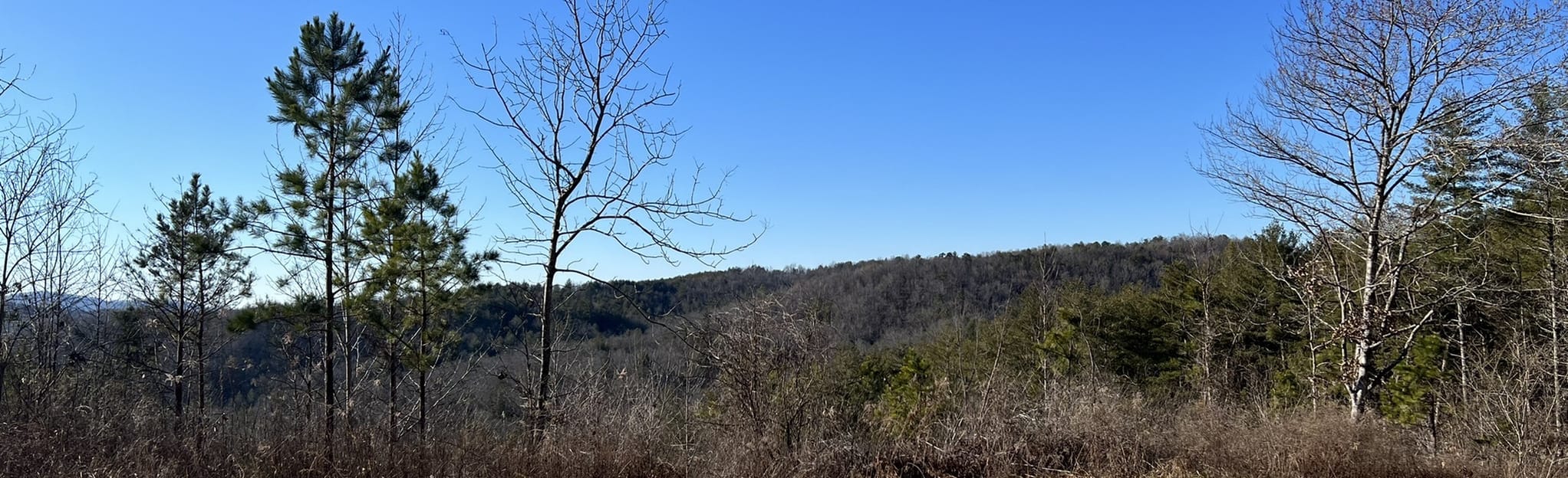 Ramsey Bend Connector, Ramsey Bend North, Nottely River and The Dog