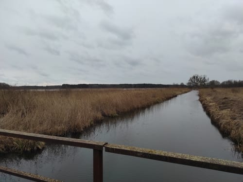 Blankensee Rundweg zum Vogelbeobachtungsturm