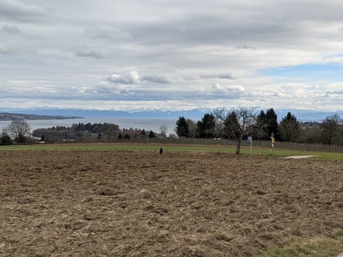 Zum Naturschutzgebiet Bussensee