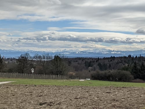 Zum Naturschutzgebiet Bussensee