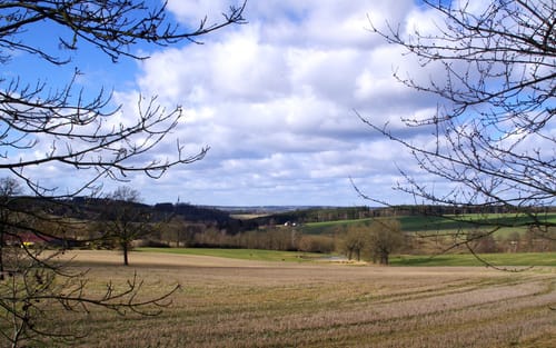Pausa - Leitlitz - Sandberg