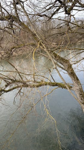 Isarrunde ab Fischerhäuser