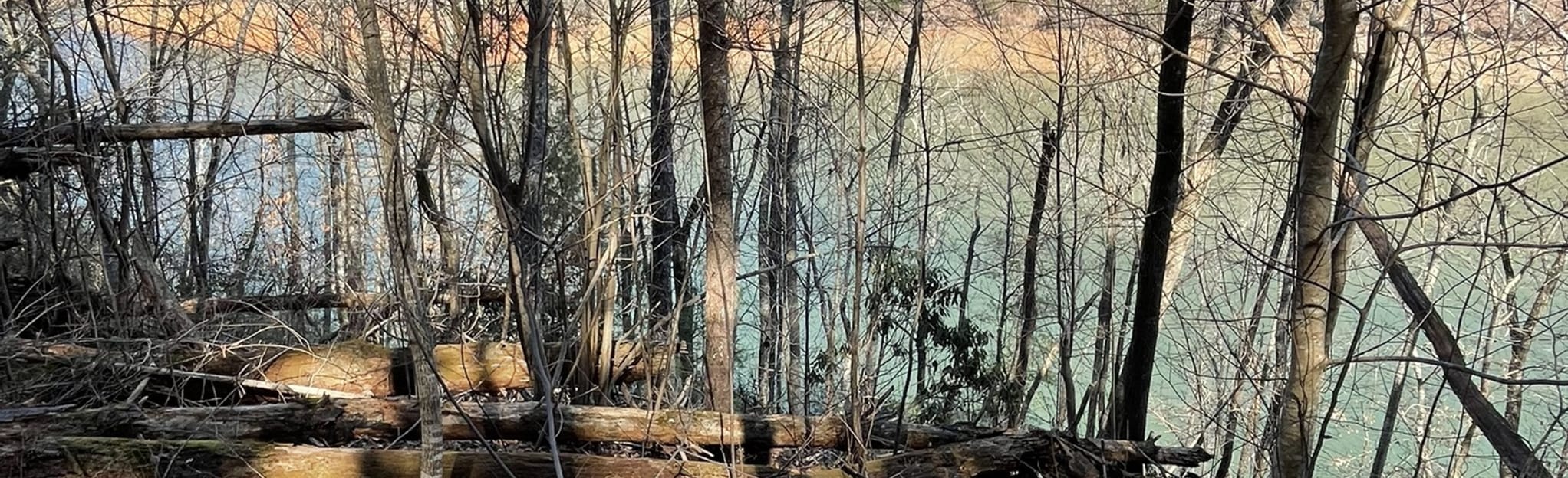 Ramsey Bend North, Farmer Top and Nottely River Loop, North Carolina