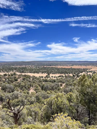 10 Best Trails and Hikes in Show Low | AllTrails