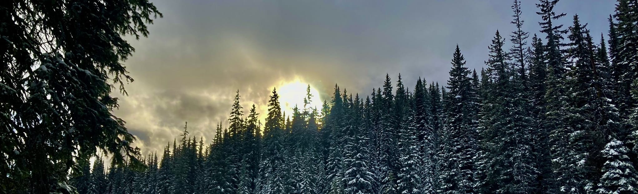 Sovereign Lake Short Trapline, British Columbia, Canada 29 Reviews