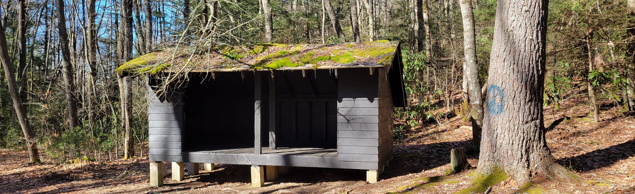 Iron Mountain to Old Bear Tree Campground Loop 11 Reviews, Map