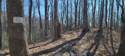 Best Cave Trails in George Washington - EyJidWNrZXQiOiJhc3NldHMuYWxsdHJhaWxzLmNvbSIsImtleSI6InVwbG9hZHMvcGhvdG8vaW1hZ2UvNDQ3NjIwODcvZGZlNTVlNzY0ZDRkMDZhZjM5Yzg5MDEyM2Y0OTQxNWIuanBnIiwiZWRpdHMiOnsidG9Gb3JtYXQiOiJ3ZWJwIiwicmVzaXplIjp7IndpZHRoIjo1MDAsImhlaWdodCI6NTAwLCJmaXQiOiJpbnNpZGUifSwicm90YXRlIjpudWxsLCJqcGVnIjp7InRyZWxsaXNRdWFudGlzYXRpb24iOnRydWUsIm92ZXJzaG9vdERlcmluZ2luZyI6dHJ1ZSwib3B0aW1pc2VTY2FucyI6dHJ1ZSwicXVhbnRpc2F0aW9uVGFibGUiOjN9fX0=