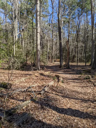 Blackwater (company) visual data 2