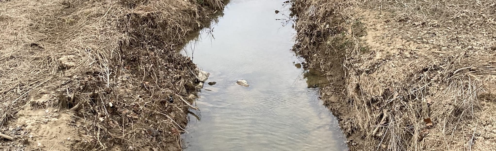 USIBurdette Trail 976 Reviews, Map Indiana AllTrails