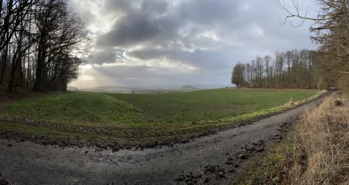 Von Metze um den Kammerberg