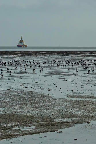 Am Strand von Horumersiel nach Schillig