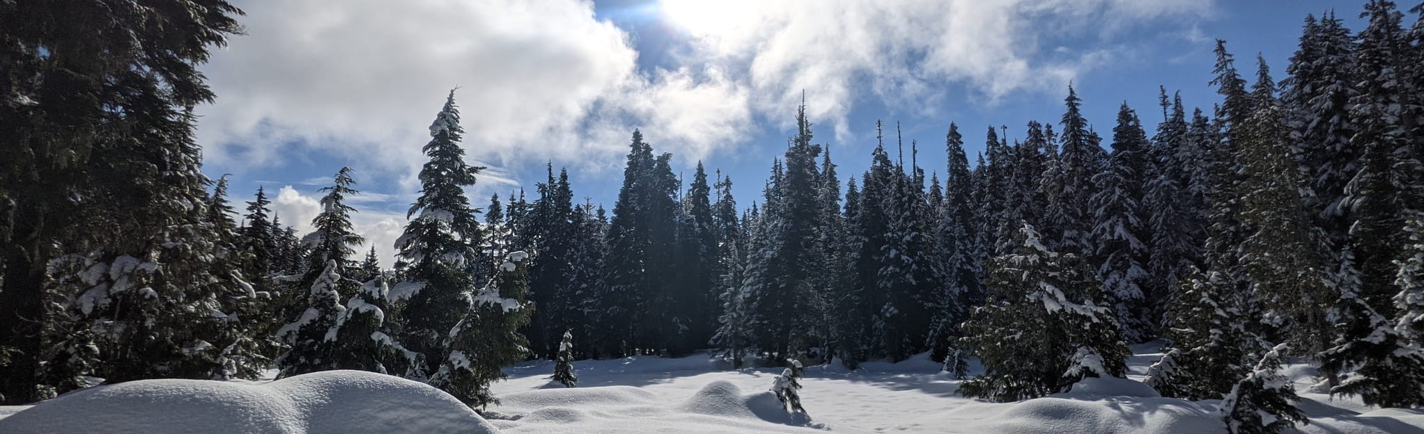 Finger Lakes Trail British Columbia - EyJidWNrZXQiOiJhc3NldHMuYWxsdHJhaWxzLmNvbSIsImtleSI6InVwbG9hZHMvcGhvdG8vaW1hZ2UvNDQ3ODk5MjUvMjBjNWIzNjg5ODBhZTM1Mjc2YzMzZmEzMGU5MGNjZmIuanBnIiwiZWRpdHMiOnsidG9Gb3JtYXQiOiJqcGVnIiwicmVzaXplIjp7IndpZHRoIjoyMDQ0LCJoZWlnaHQiOjYyNCwiZml0IjoiY292ZXIifSwicm90YXRlIjpudWxsLCJqcGVnIjp7InRyZWxsaXNRdWFudGlzYXRpb24iOnRydWUsIm92ZXJzaG9vdERlcmluZ2luZyI6dHJ1ZSwib3B0aW1pc2VTY2FucyI6dHJ1ZSwicXVhbnRpc2F0aW9uVGFibGUiOjN9fX0=