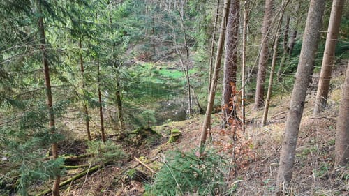Stausee Hohenfelden - München