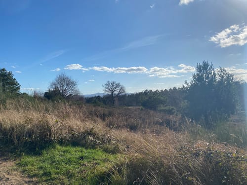 Troisdorf - Agger - Wahner Heide