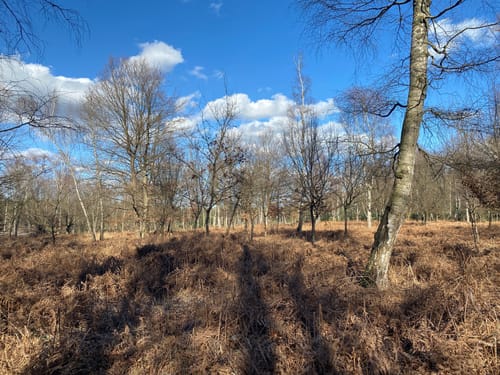Troisdorf - Agger - Wahner Heide