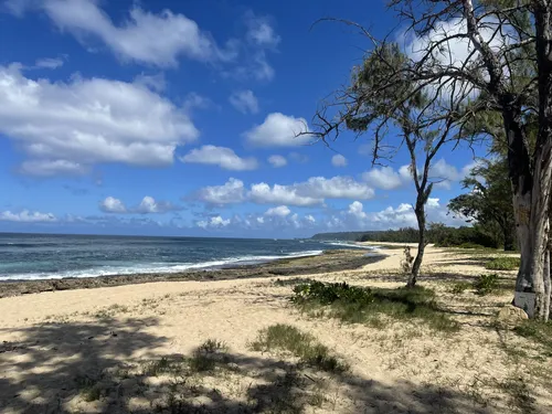 Best Hikes and Trails in Puaena Point Beach Park AllTrails
