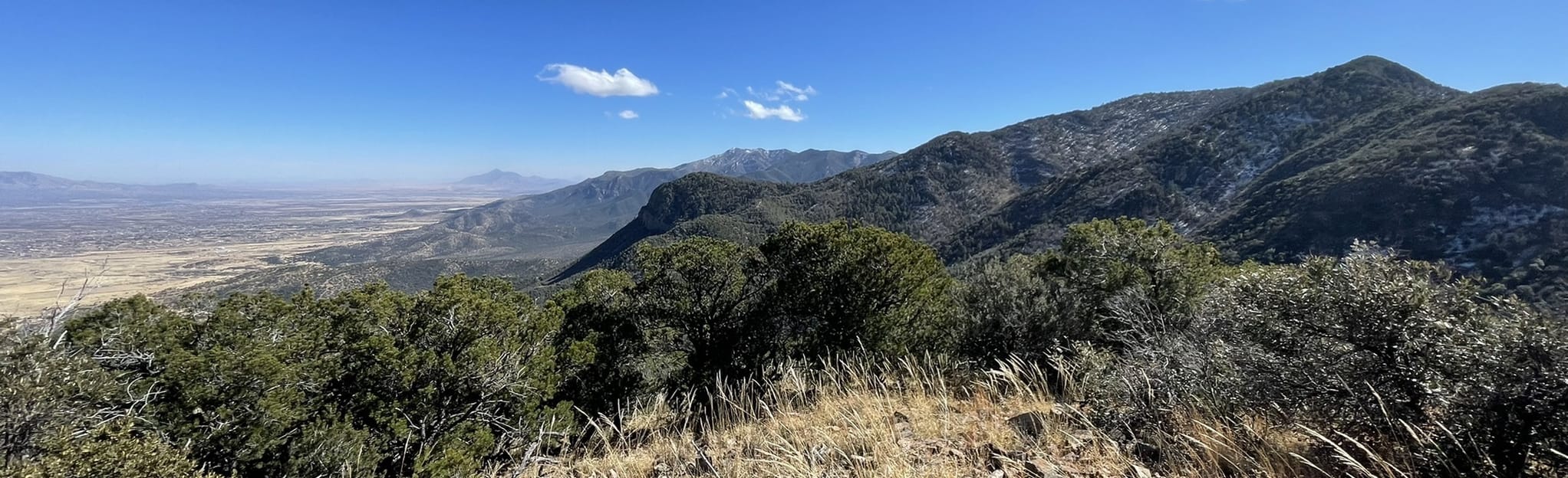 Huachuca Ridge Trail, Arizona 114 Reviews, Map AllTrails