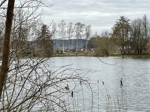 Böddiger Fischteiche