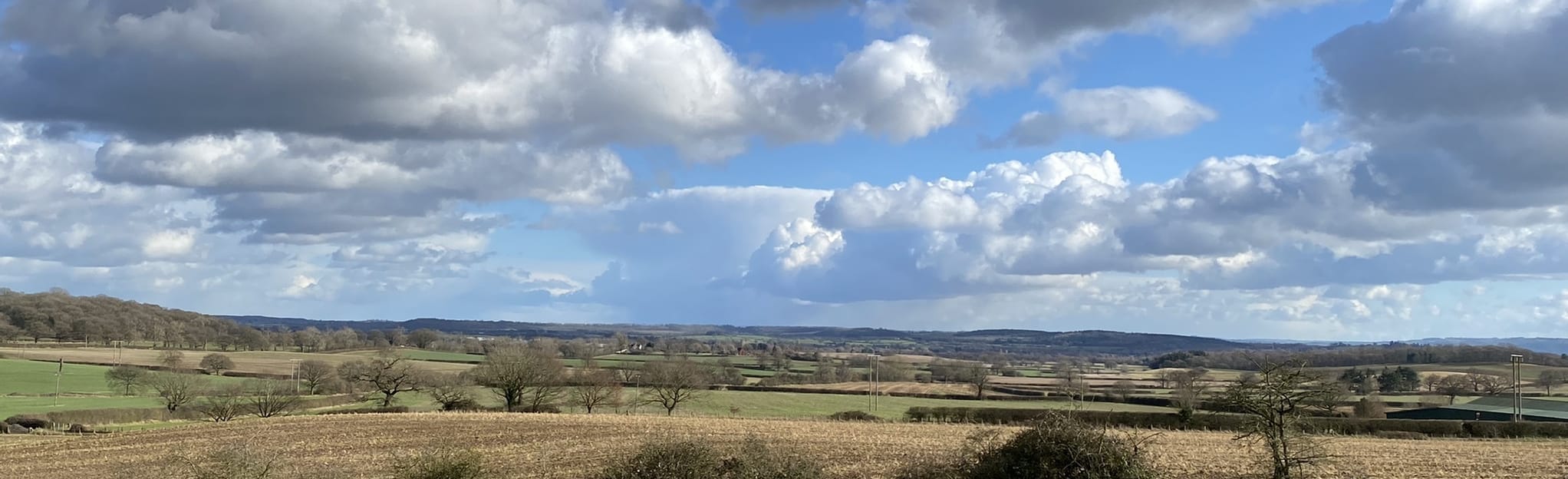 Millennium Way New End and Cookhill Worcestershire, England AllTrails