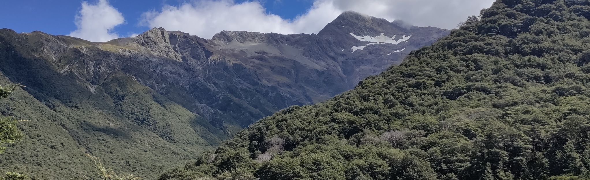 Arthur's Pass Walking Track, Canterbury, New Zealand - 107 Reviews, Map ...