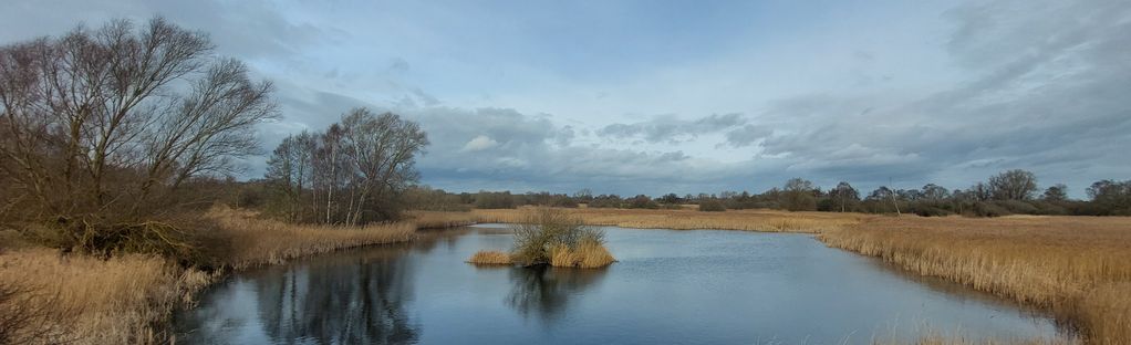 Woodwalton Fen