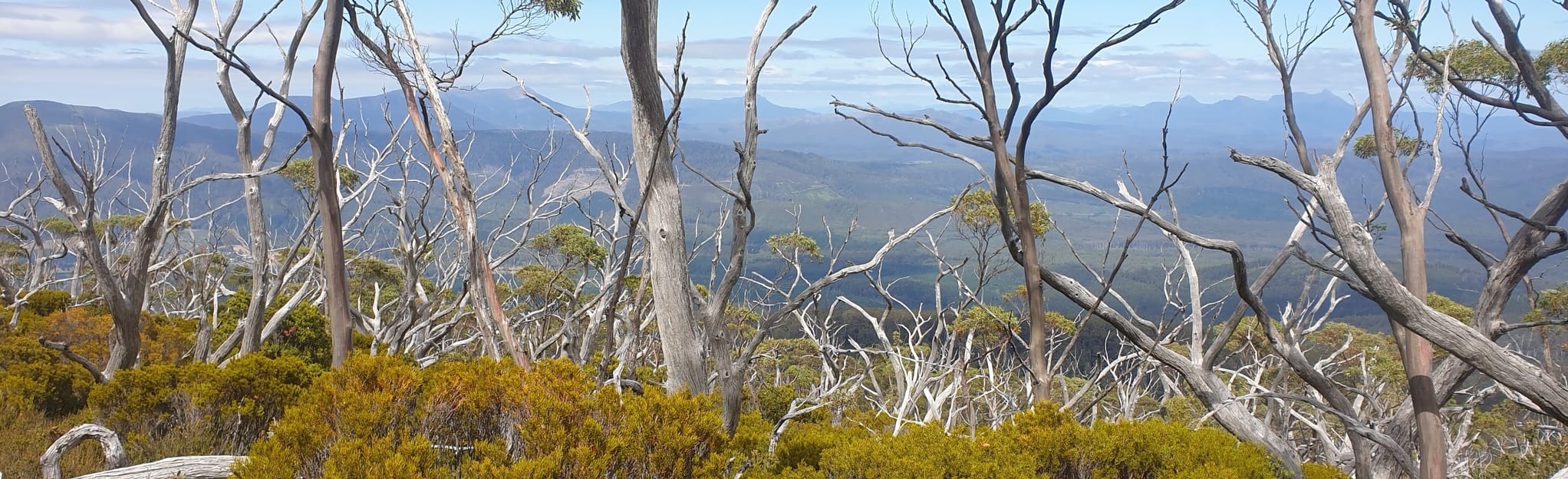 Lakes Belton and Belcher Map, Guide Tasmania, Australia AllTrails