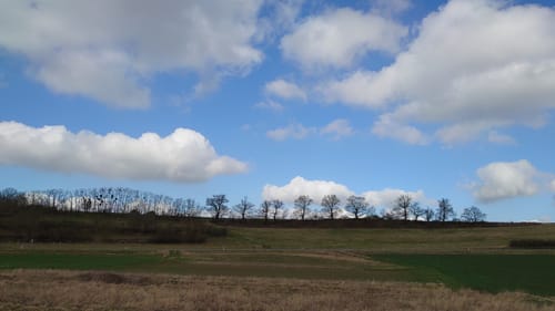 Paradiesweg Polch (Premiumspazierwanderweg)