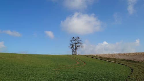 Paradiesweg Polch (Premiumspazierwanderweg)