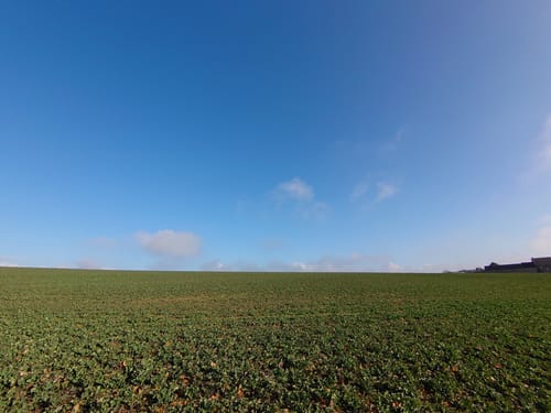Paradiesweg Polch (Premiumspazierwanderweg)