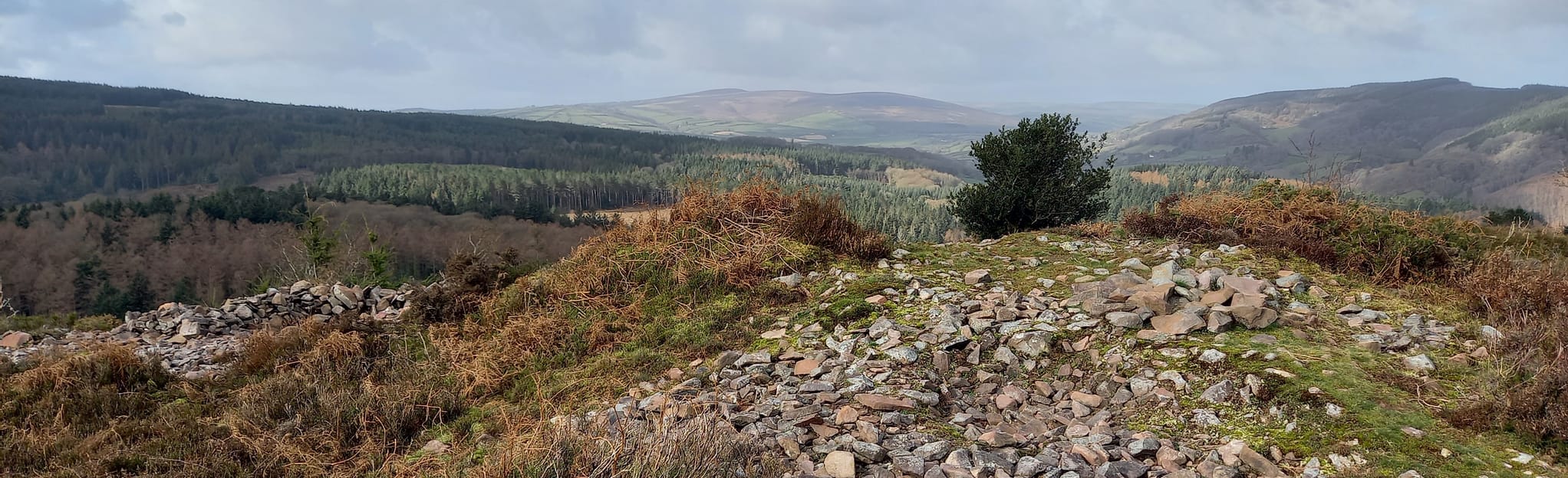 Croydon Hill, Bat's Castle and Dunster Circular 107 Fotos Somerset