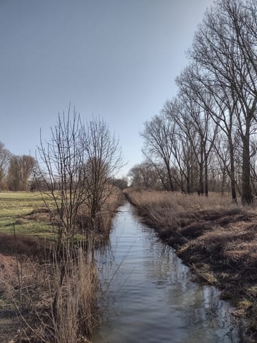 Von Frei-Weinheim entlang des Rheins bis Heidenfahrt
