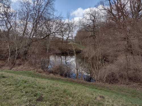 Von Frei-Weinheim entlang des Rheins bis Heidenfahrt