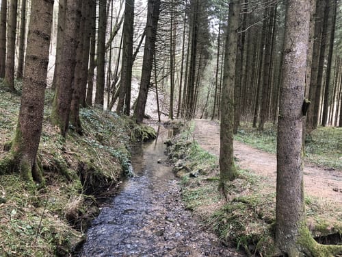 Siebenbrückerlweg (Variante)