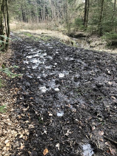 Siebenbrückerlweg (Variante)
