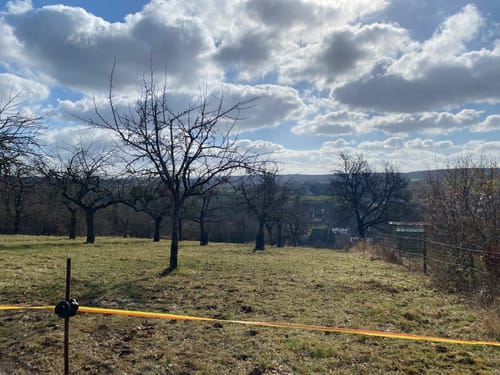 Bad Bodendorf - Panoramaweg