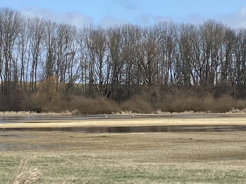 Domersleben - Wanzleben Runde