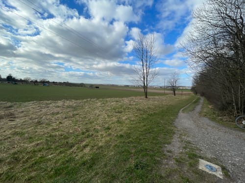 Durch den Seewald