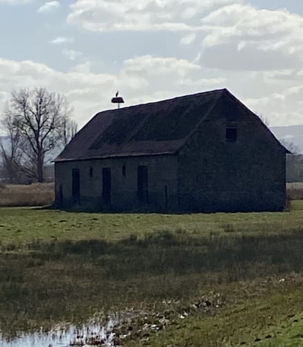 Um den Reinheimer Teich