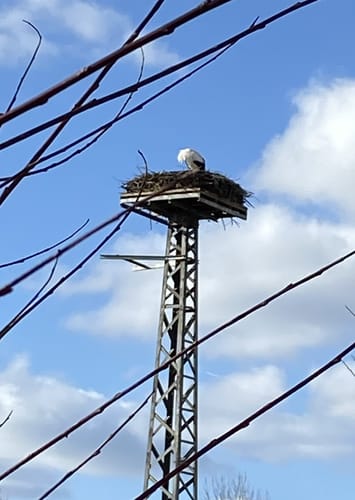 Um den Reinheimer Teich