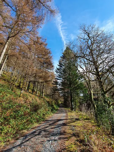 10 Best Trails, Walks, and Paths in Machynlleth | AllTrails