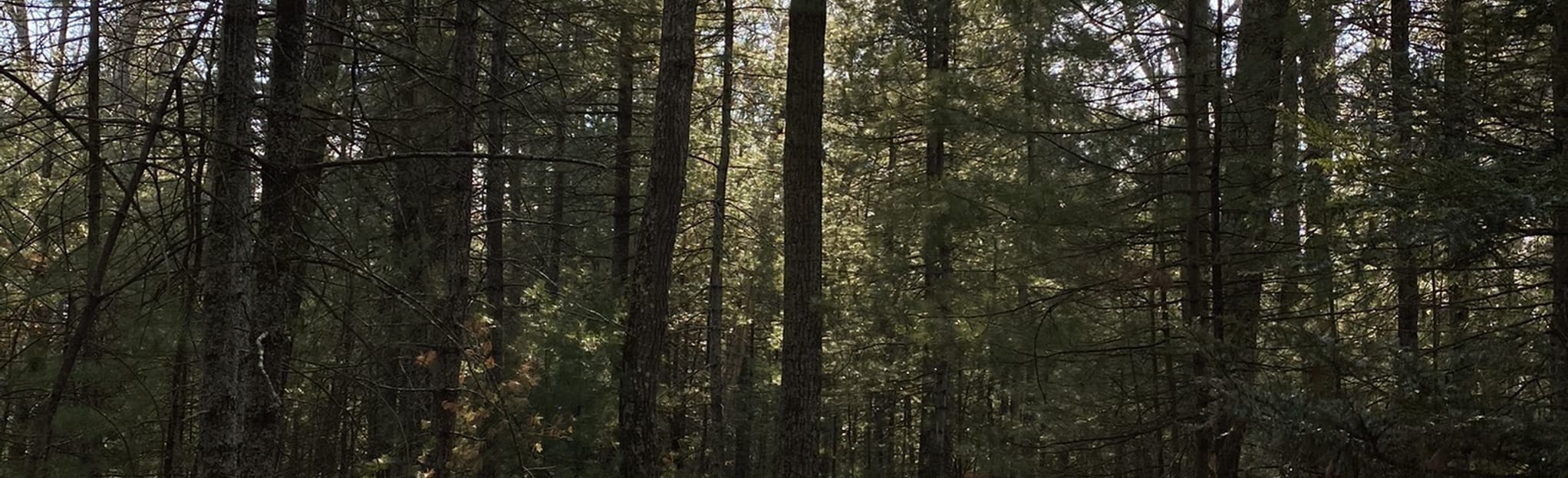 Greefenburg Hill and Conococheague Creek Loop Trail Pennsylvania