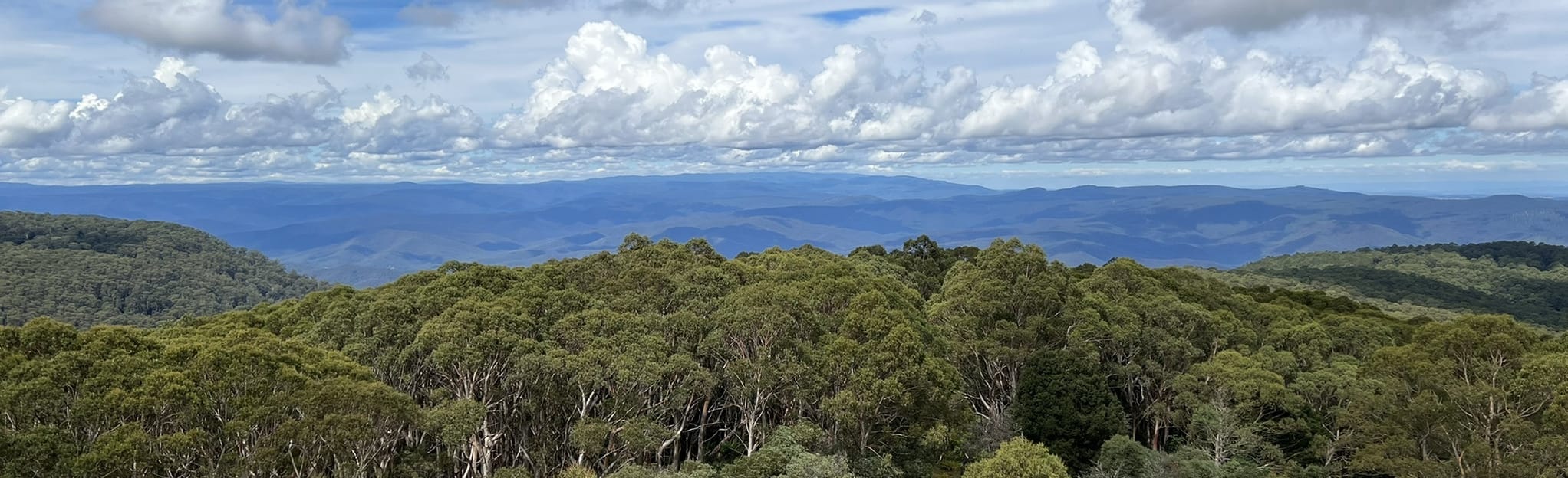 Mount Donna Buang to Dom Saddle, Victoria, Australia 5 Reviews, Map AllTrails