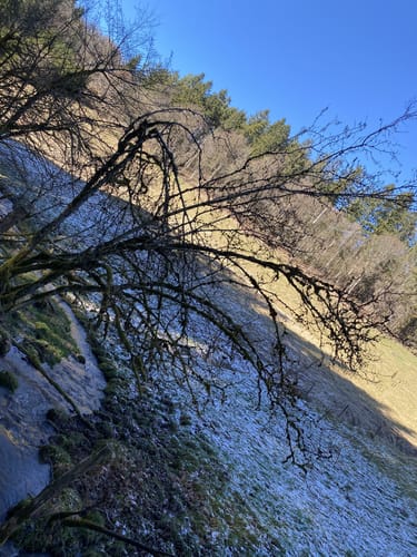Eselwanderung
