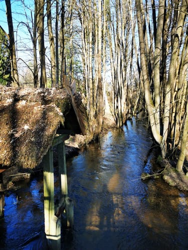 Amelinghausen: Königinnen-Weg