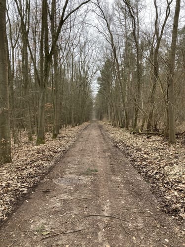Barsdorf - Haussee - Qualzow