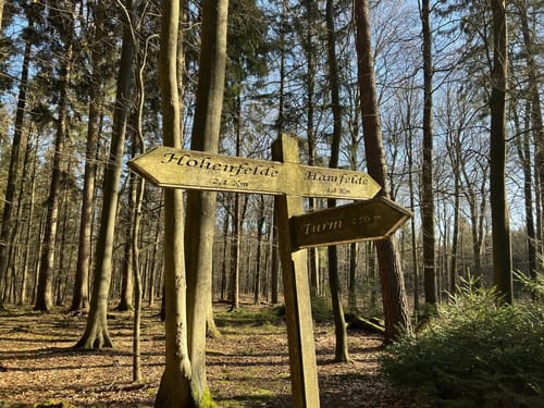 Um den Großen Hahnheider Berg ab Hamfelde