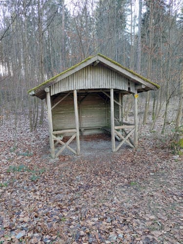 Auf den Wolfsberg