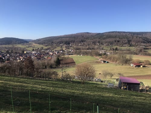 Spessartspuren "Bieberer Galgenberg"