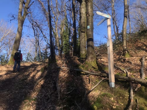 Spessartspuren "Bieberer Galgenberg"