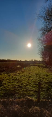 Rund um Wapelfeld 